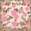 Picture of PINK BLOOMS