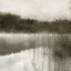 Picture of MISTY MORNING ON THE LAKE