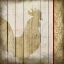 Picture of DAMASK ROOSTER 2