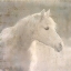 Picture of WHITE KNIGHT