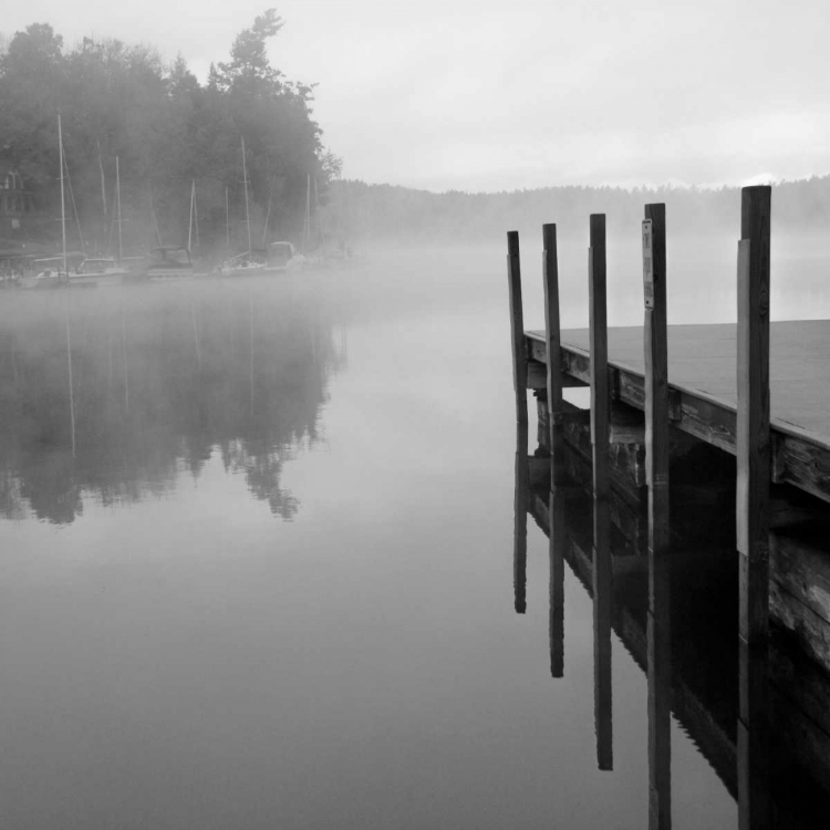 Picture of STILLNESS