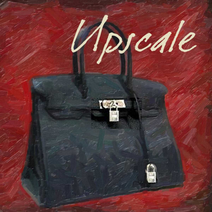 Picture of UPLSCALE BAG
