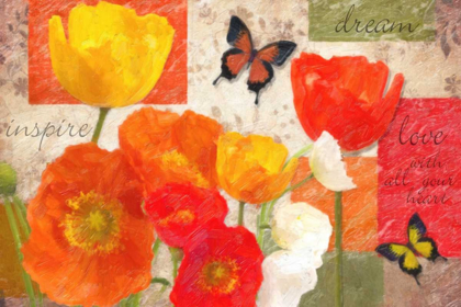 Picture of INSPIRE DREAM LOVE POPPIES