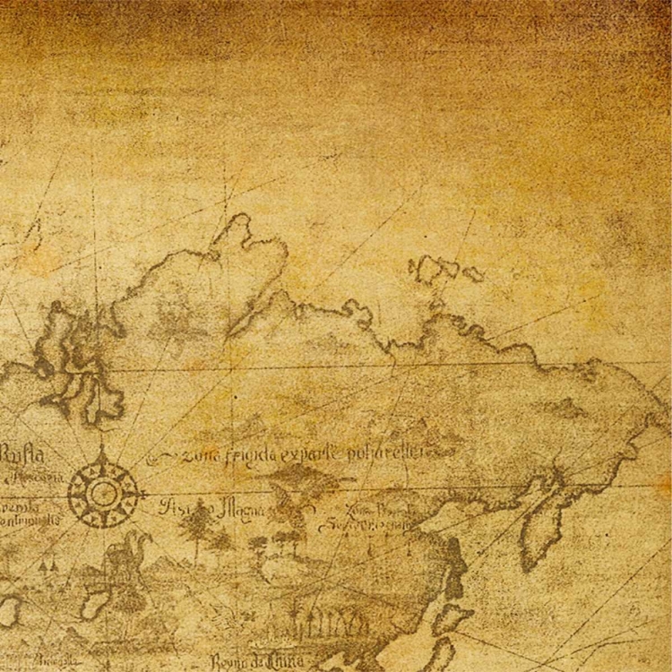 Picture of VINTAGE MAP D