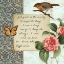 Picture of VINTAGE SERENITY PRAYER