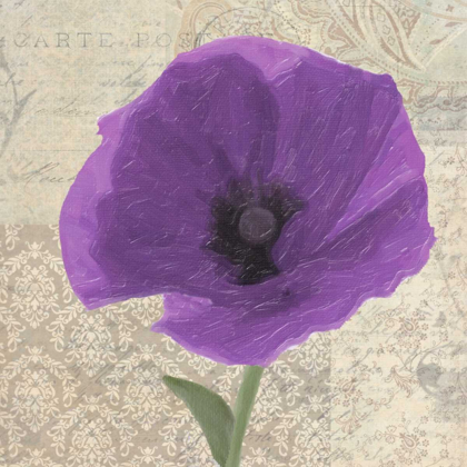 Picture of PLUM POPPY I