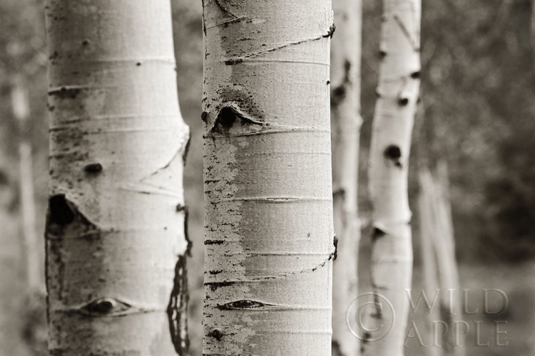 Picture of ASPENS III