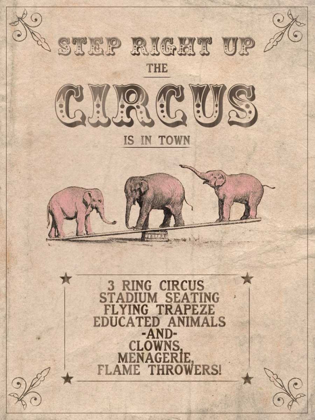 Picture of VINTAGE CIRCUS I
