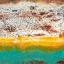 Picture of ARID II