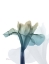 Picture of OMBRE EXPRESSION 6