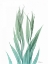 Picture of RADIANT BAMBOO LEAF 2