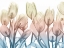 Picture of MAGICAL GARDEN.JPG