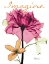 Picture of IMAGINATIVE FLORAL