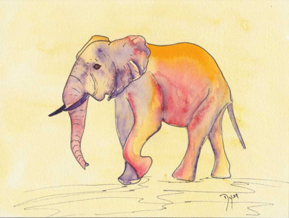 Picture of RAINBOW ELEPHANT