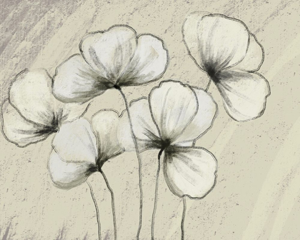 Picture of SKETCHED FLOWERS ON CREAM