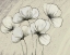 Picture of SKETCHED FLOWERS ON CREAM