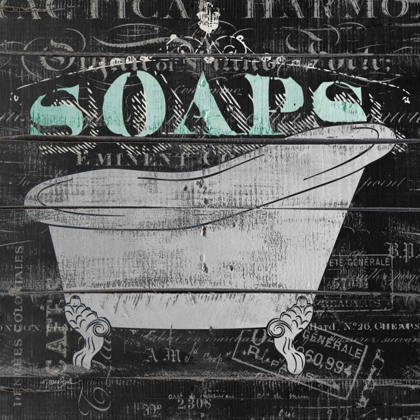 Picture of SOAPS 1