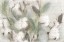Picture of COTTON B