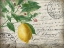 Picture of VINTAGE LEMON