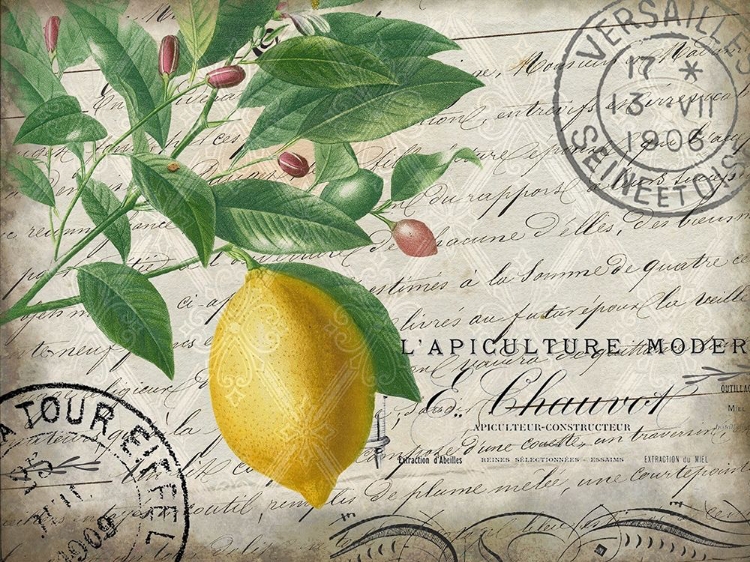 Picture of VINTAGE LEMON