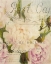 Picture of SUMMER BLOOMING SERIES C