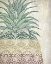 Picture of TRI COLOR PINEAPPLES 1