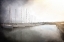 Picture of SAILBOATS IN THE HARBOR