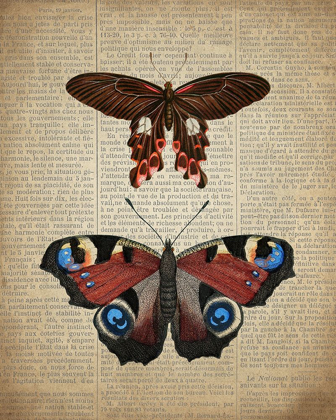 Picture of NEWSPAPER BUTTERFLY 2