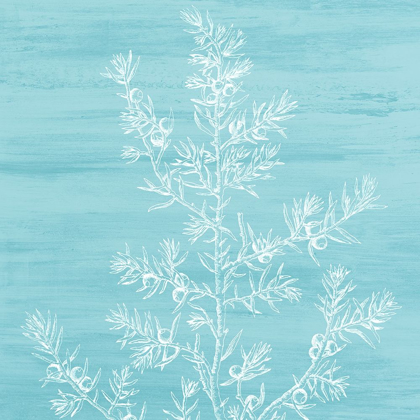 Picture of BOTANICAL BRIGHT 3