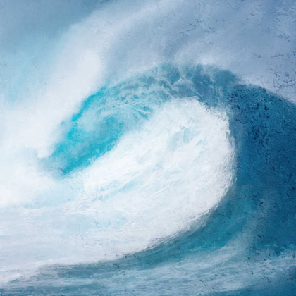 Picture of IN THE WAVES