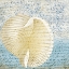 Picture of SPOTTED SHELL 1