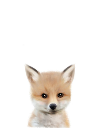 Picture of WOODLAND FOX