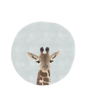 Picture of BABY GIRAFFE