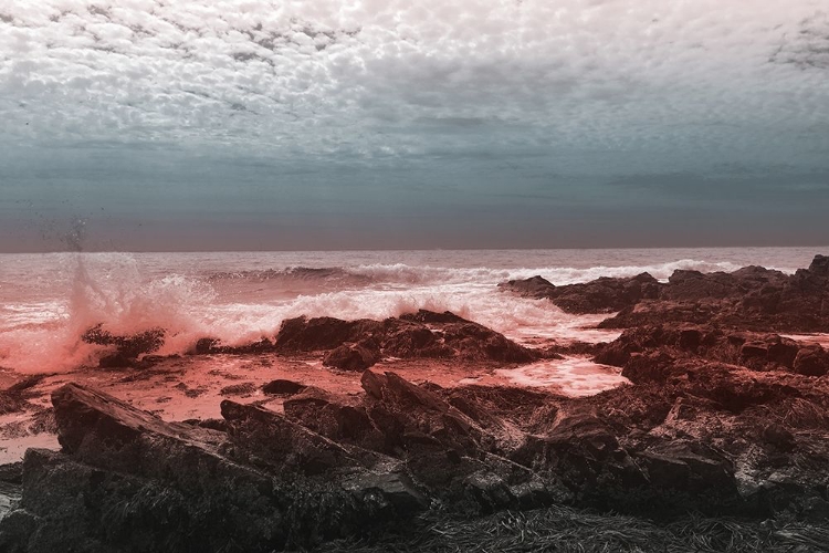Picture of PINK MORNING