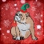 Picture of MERRY BULLDOG