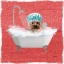 Picture of STEAMY BATH 1