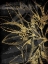 Picture of GOLDEN ABSTRACT FLORAL MATE