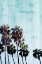 Picture of PALM COOL BLUE