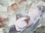 Picture of CALM FLORAL ABSTRACT