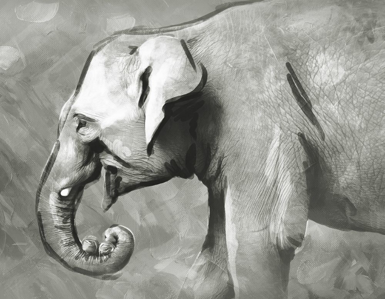 Picture of CHARCOAL ELEPHANT