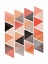 Picture of SCHOOL OF ROSE TRIANGLES