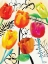 Picture of FLORAL WATER INK MATE