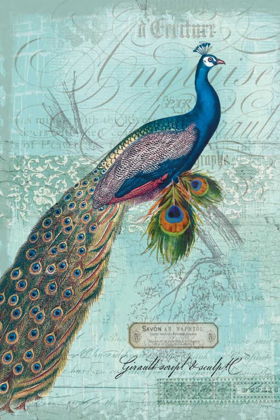 Picture of PEACOCK NOUVEAU