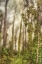 Picture of PRESIDIO I