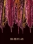 Picture of BOHEMIAN MEANING