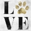 Picture of LOVE MY PET