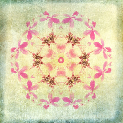 Picture of ORCHID CIRCLE 1
