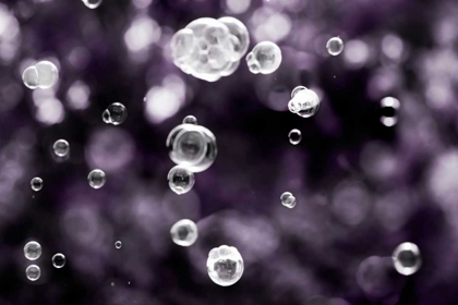 Picture of BUBBLY