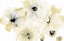 Picture of GRAY YELLOW FLORA 4
