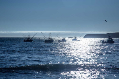 Picture of FISHING BOATS I